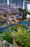 pond two